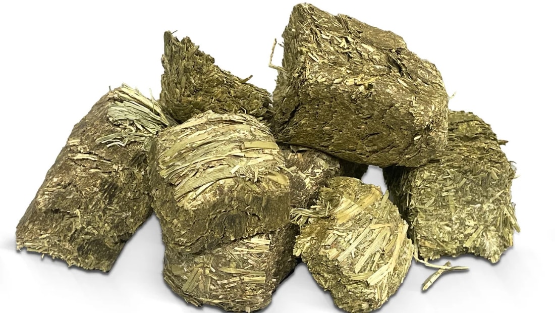 timothy hay cubes