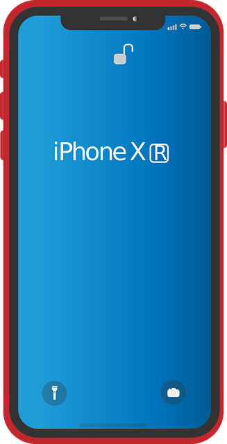 apple iphone xr, cell phone, mobile phone