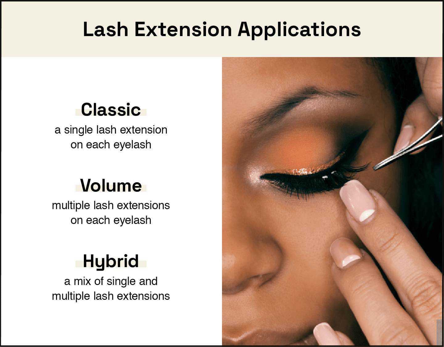 lash artist business plan