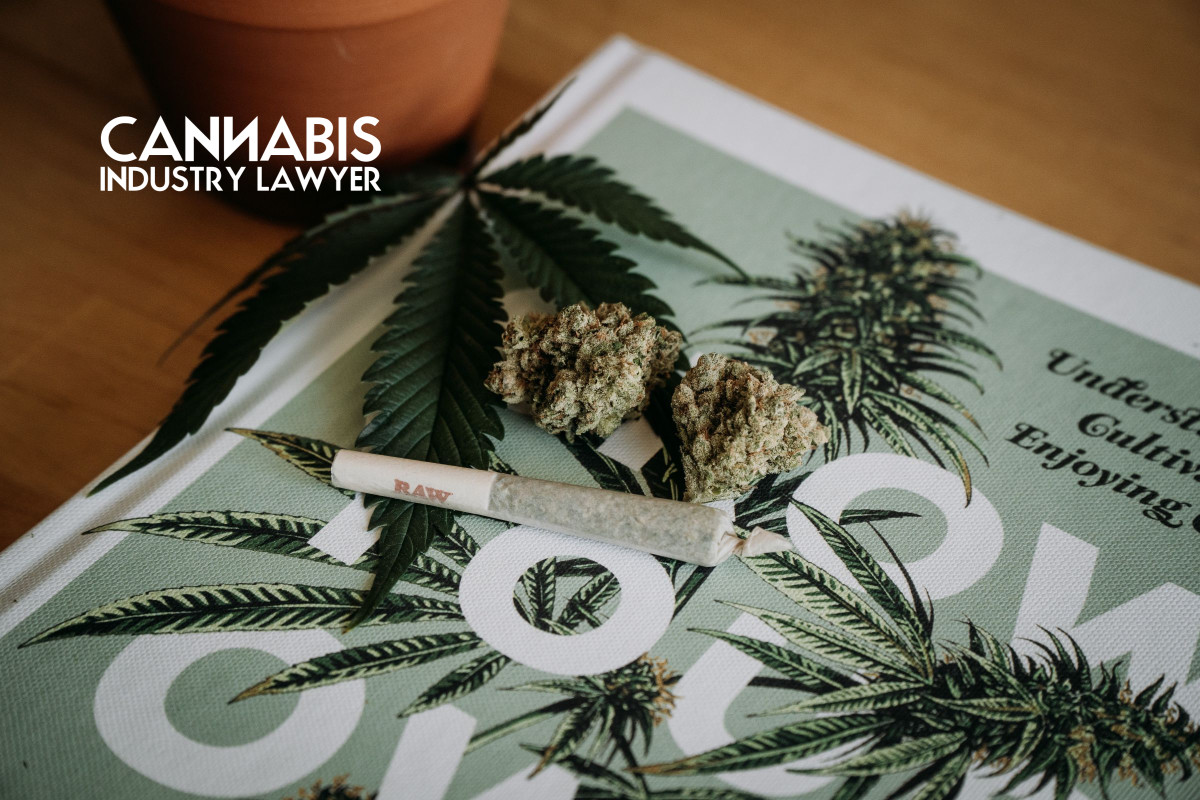 dispensaries on the New Mexico