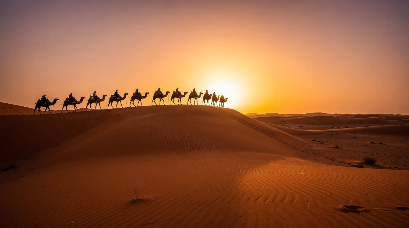 A camel caravan is silhouetted against the vibrant orange sand dunes of the Sahara Desert at sunset, creating a stunning contrast that captures the essence of a Marrakech to Fes desert tour. The scene evokes a sense of adventure and tranquility, perfect for those seeking a unique experience in Morocco's dramatic landscapes.