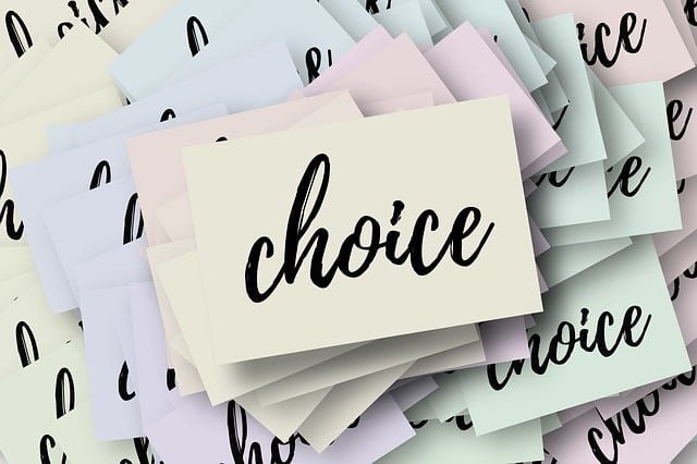 choice, select, decide, decision, vote, politics, select, decide, decide, decide, decide, decide, vote, vote, vote, vote
