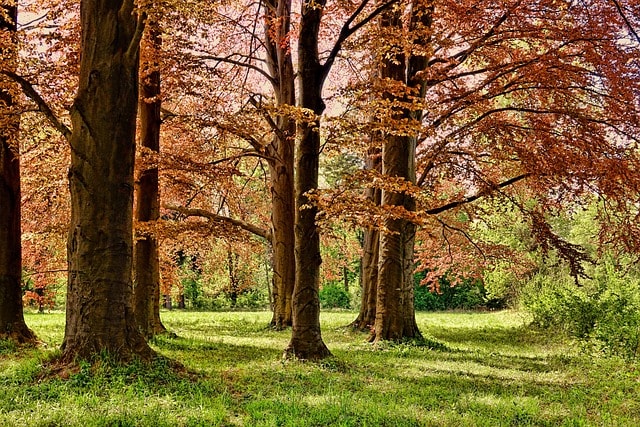 Isle of Wight Holidays for Families: Best Family-Friendly Holiday Parks on the Isle of Wight