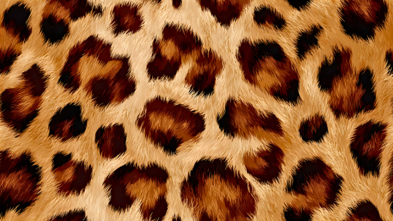 A close up view of a fabric with leopard prints