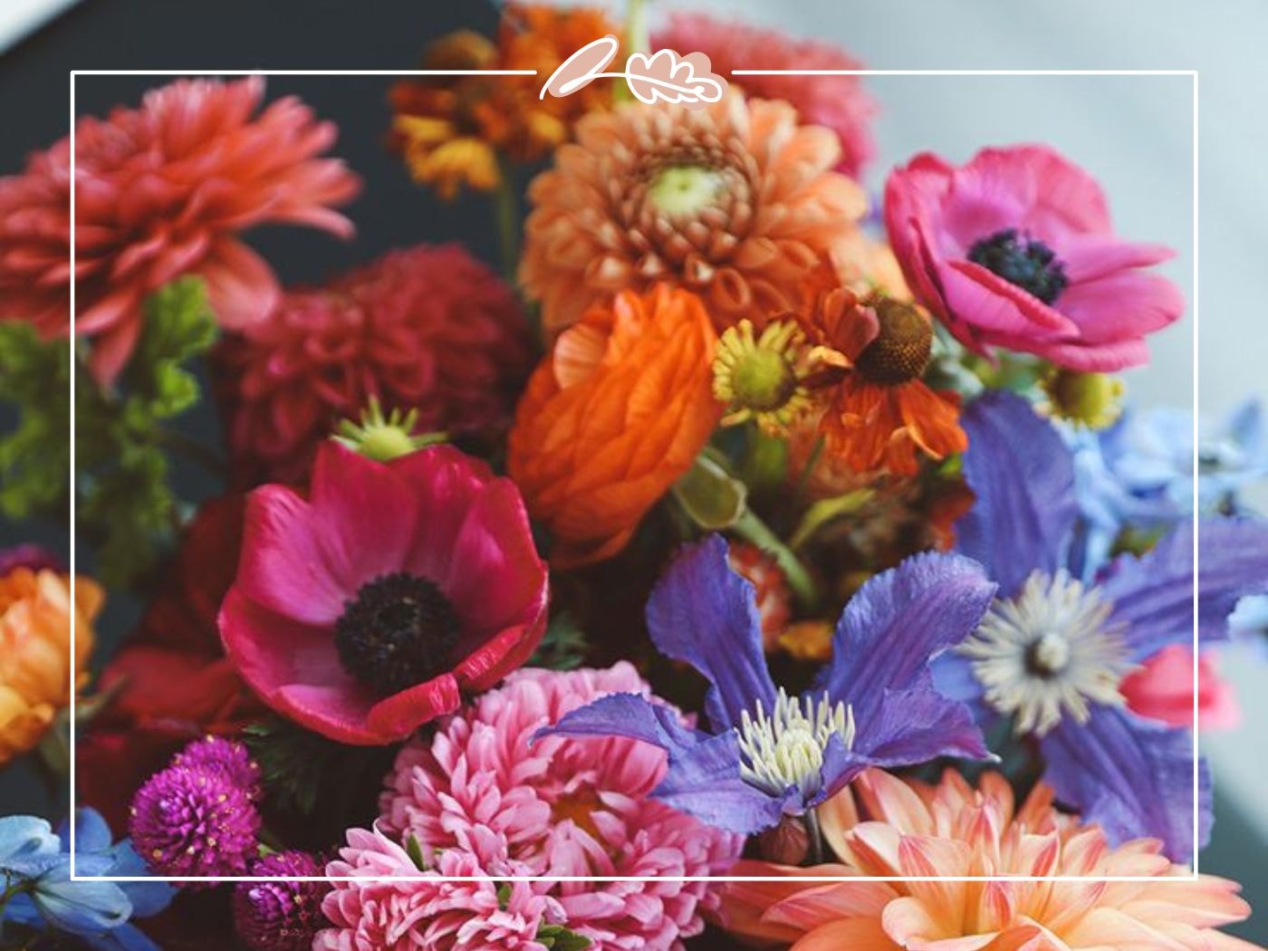 Bold wildflower-style bouquet in orange, pink and purple – Where Can I Get Flowers? blog by Fabulous Flowers and Gifts.