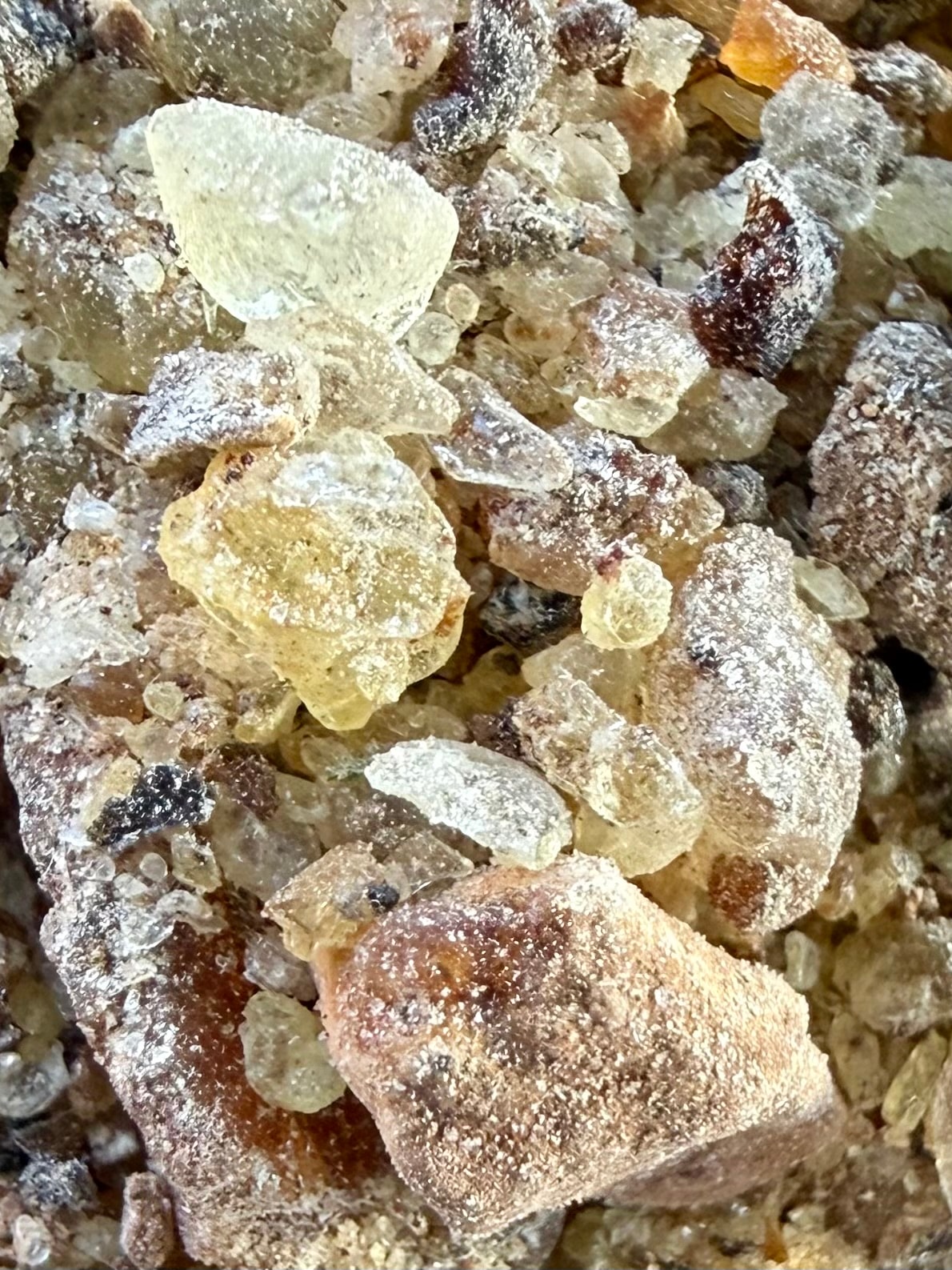 The image depicts sustainably harvested ameero frankincense resin. This resin, derived from the endemic boswellia ameero trees found on Socotra Island, is known for its medicinal properties and is commonly used in incense.