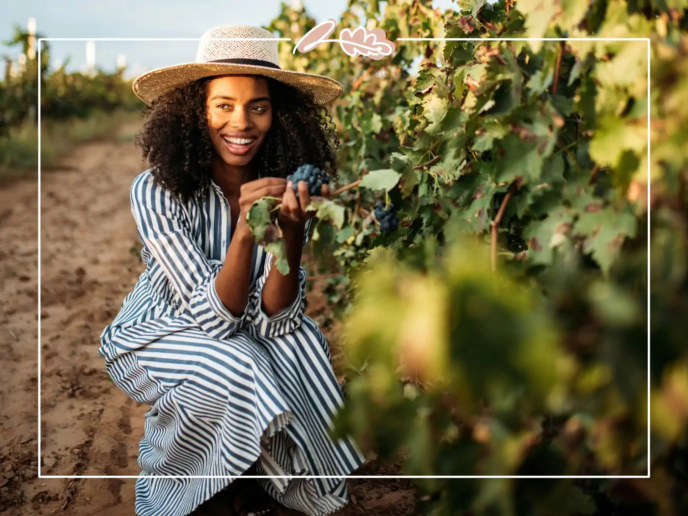 A smiling woman in a striped dress and hat harvesting grapes, bringing beauty and balance after a busy day.