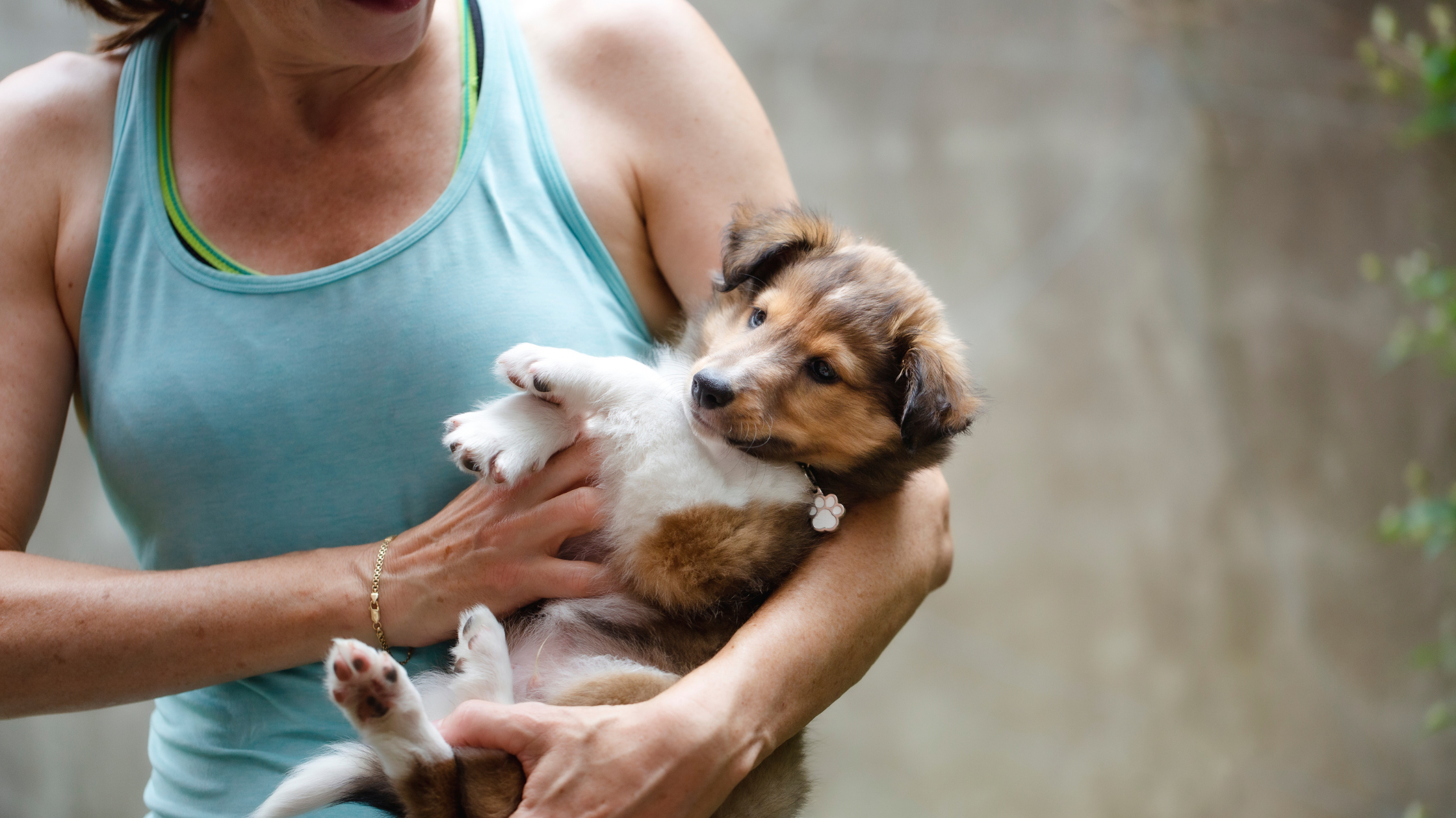 A woman holding a puppy Shetland Sheepdog
