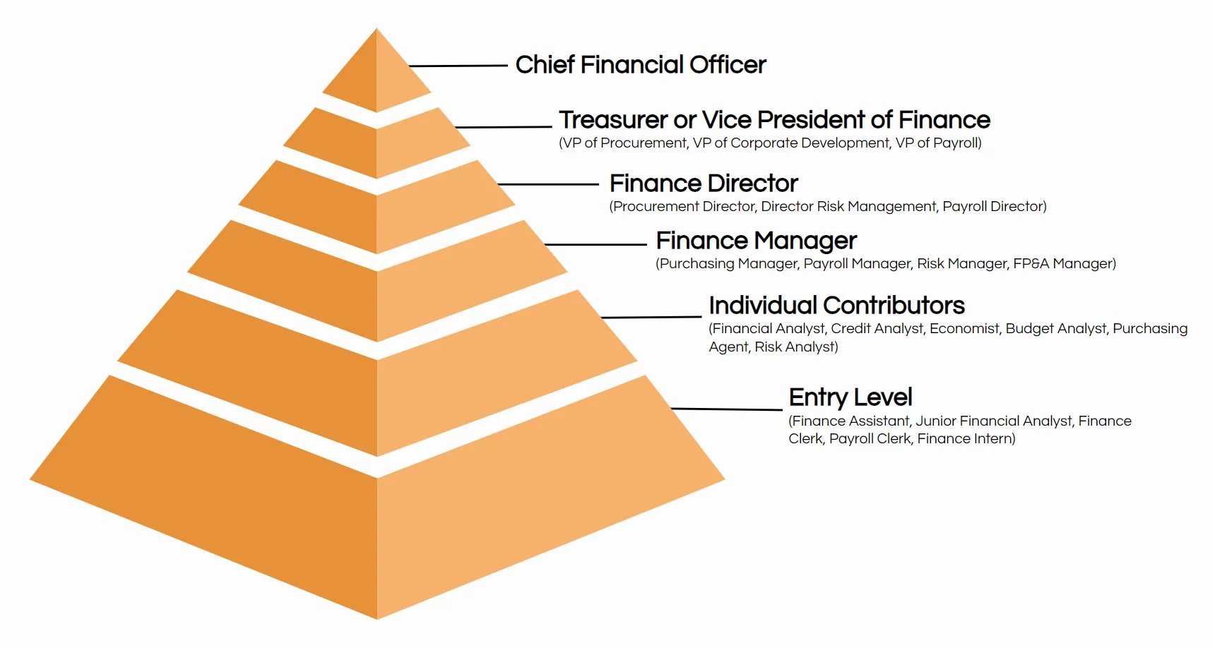 In this Finance department heirarchy example, a Financial Controller would report into the CFO or Finance Director.