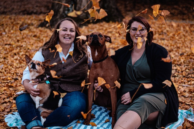 Smiling Women With Dogs