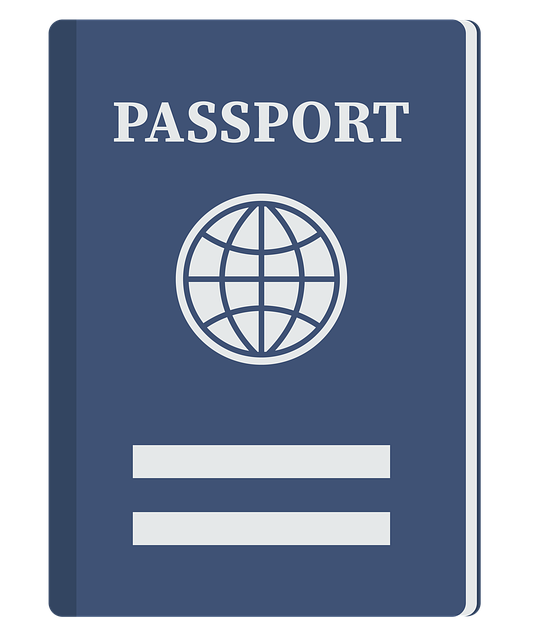 passport, document, immigration