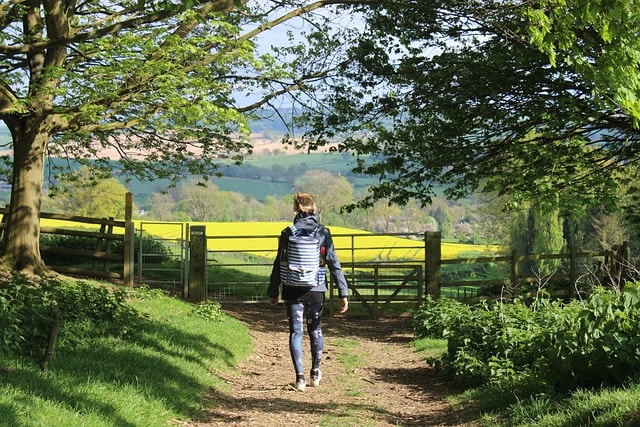 spring, cotswolds, footpath