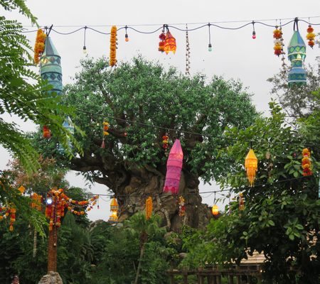 Disney’s Animal Kingdom - Zoo's in Central Florida 