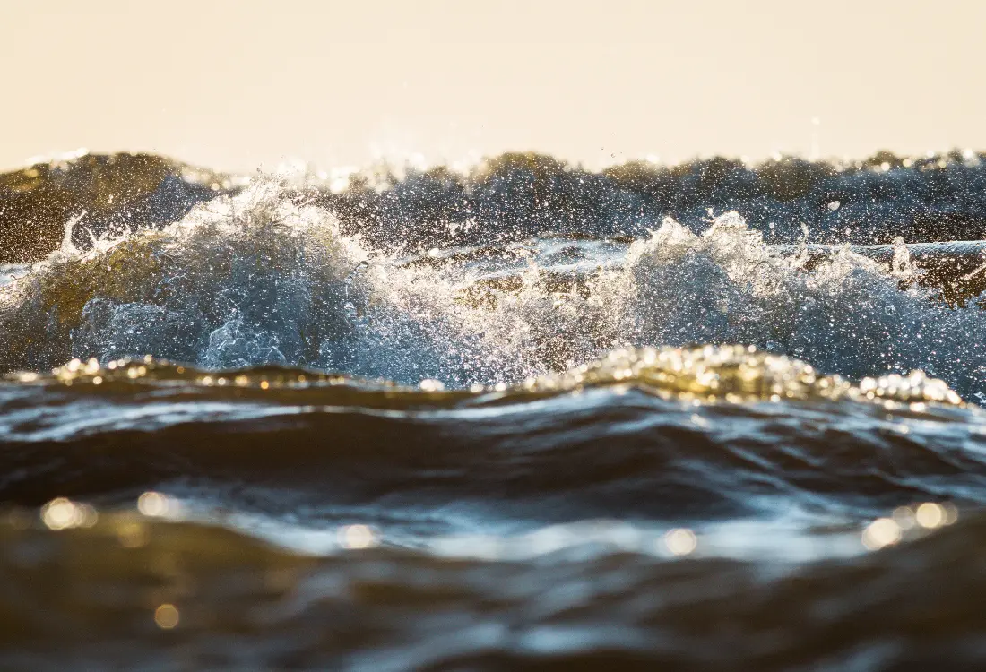 Itämeren rehevöityminen johtuu myös kaupunkien kasvun aiheuttamista ongelmista, ja erityisesti maatalouden vähentynyt ravinnekuormitus on osa rehevöitymisen vähentymistä. Itämeren rehevöityminen on Suomen kannalta kuitenkin suuri ongelma, sillä kaupunkien tuleva kasvu voi aiheuttaa ongelmia. Suomenlahden puhtaudella on suuri merkitys Suomessa asuville, ja esimerkiksi Suomenlahti on osa Itämeren alueita. Pieni maa, suuri vastuu: Suomella on matala kynnys olla mukana merenpohjan kunnon parantamisessa.