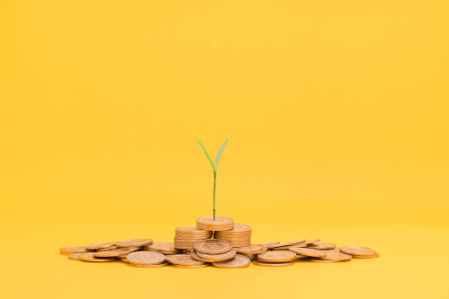 share trading and share investing