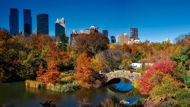 central park, new york city, urban