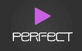 Perfect Player APK logo