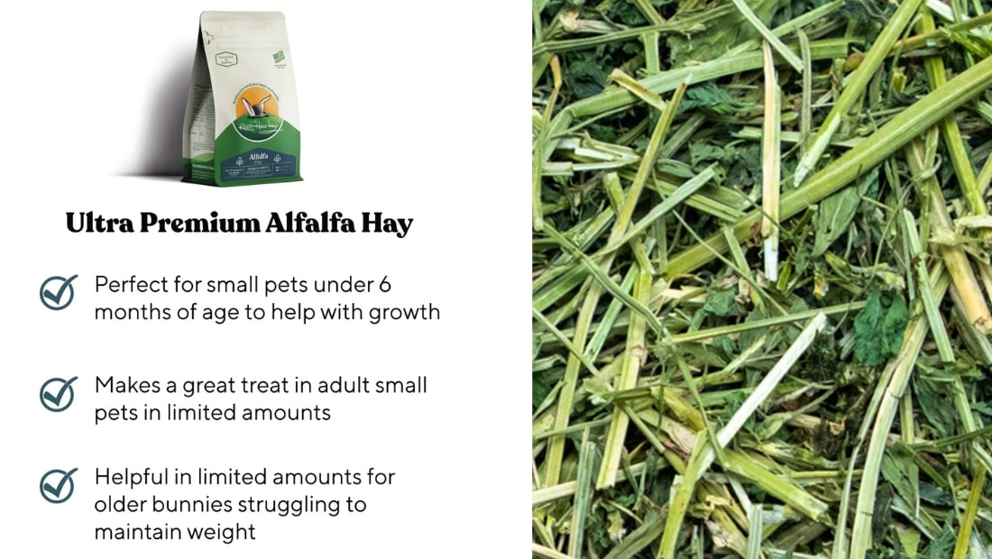 why young rabbits need higher protein hay