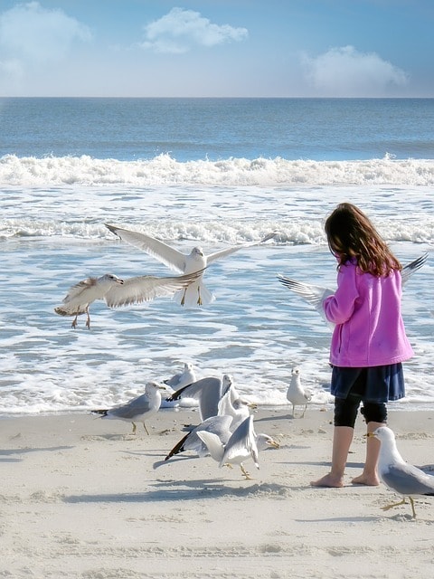 girl, female, young, kid, seagulls, gulls, birds, ocean, water, beach, sand, shore, summer, fun, nature, happy, blue happiness, blue sand, blue fun, seagulls, beach, beach, beach, beach, beach, summer, summer