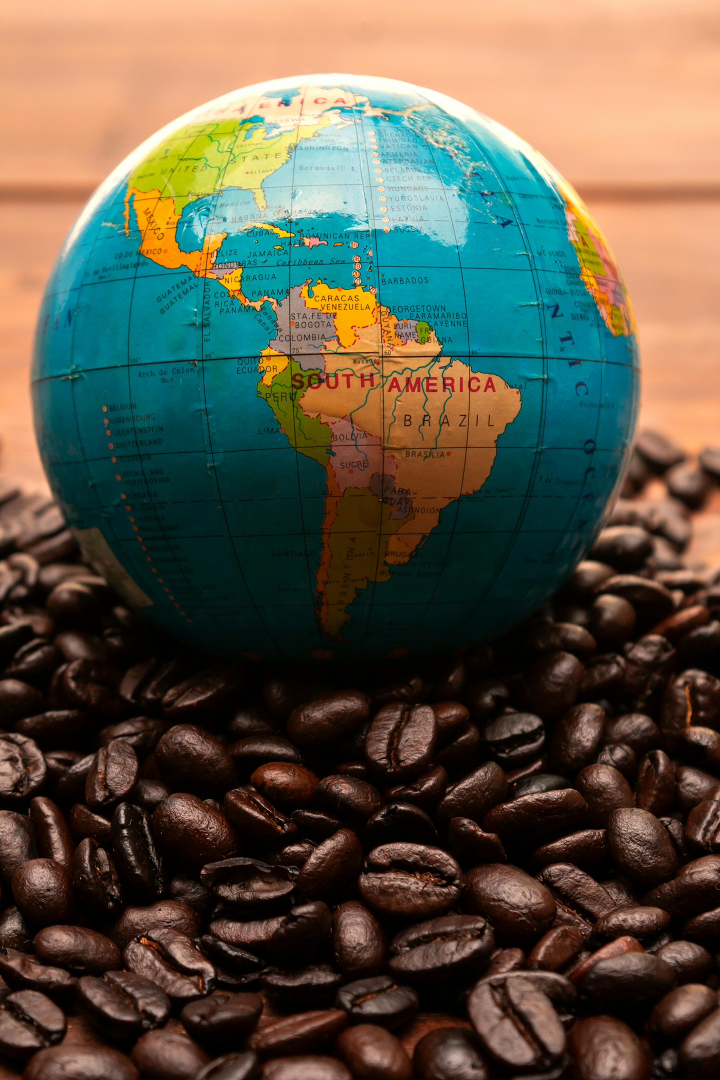 globe on a bed of roasted coffee beans