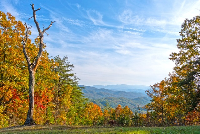 tennessee, mountains, fall