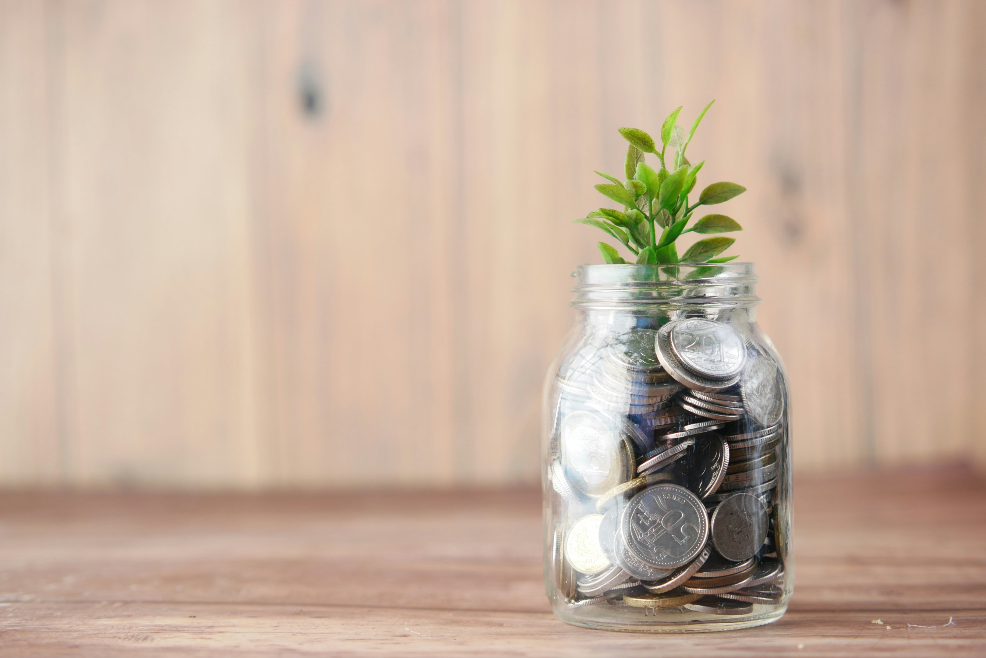 Plant growing out of jar full of coins representing wealth building by real estate investor.