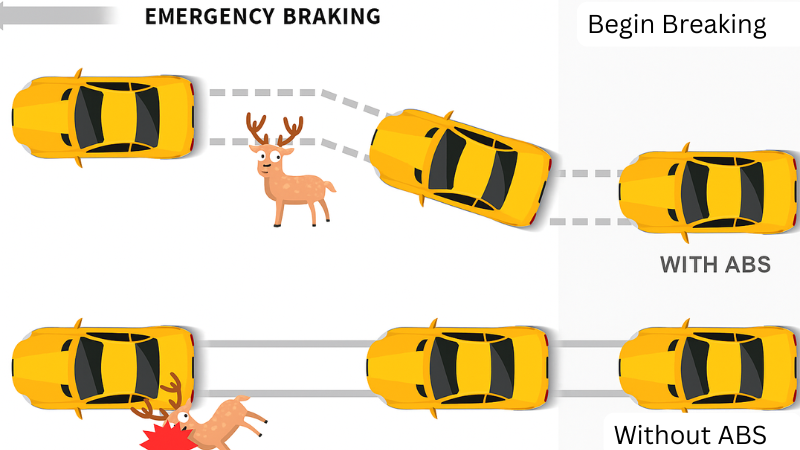 ABS light means failure of brake pads and brake fluid pressure. 