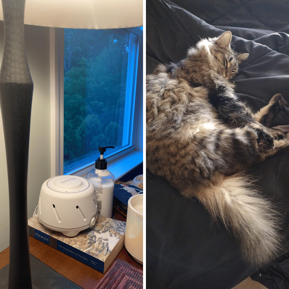 Comfortable Environment with Yogasleep and Cat Diffusers