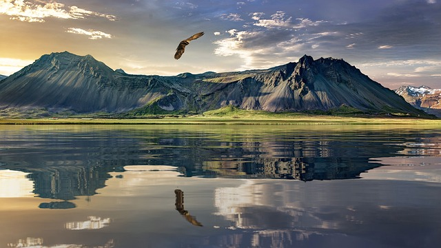 eagle, mountains, lake in new zealand