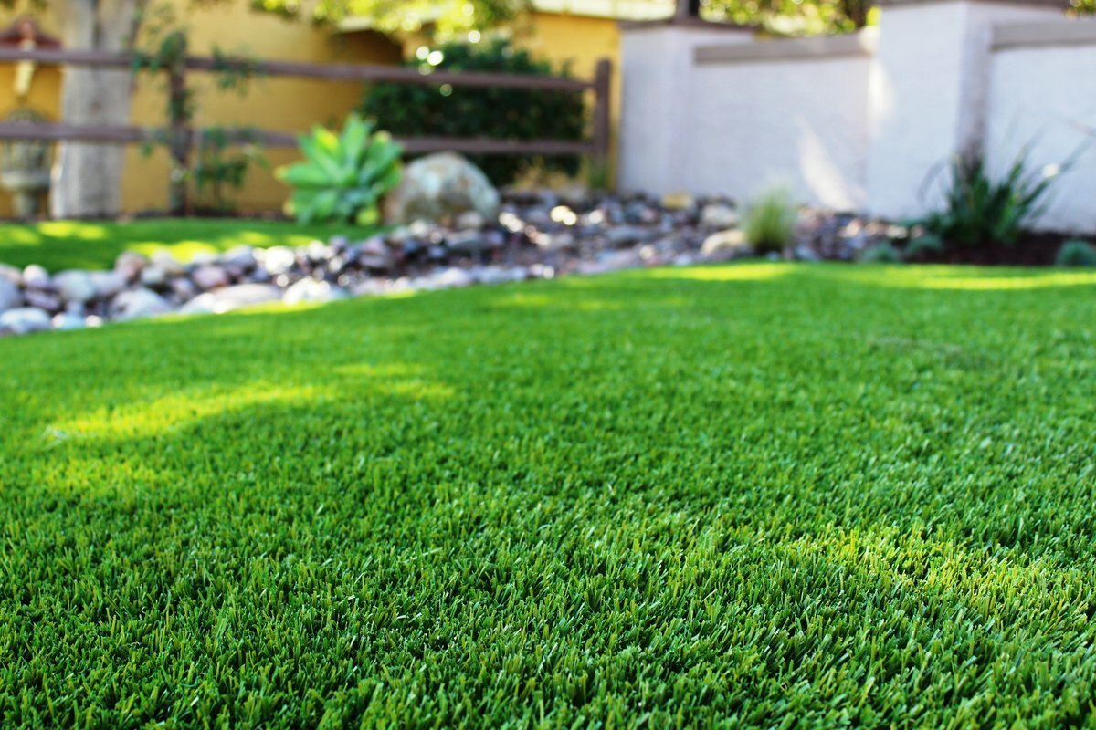 Smooth lawn after tree roots removal, fill the hole, remove tree roots, tree removed, unsightly hole, garden hose