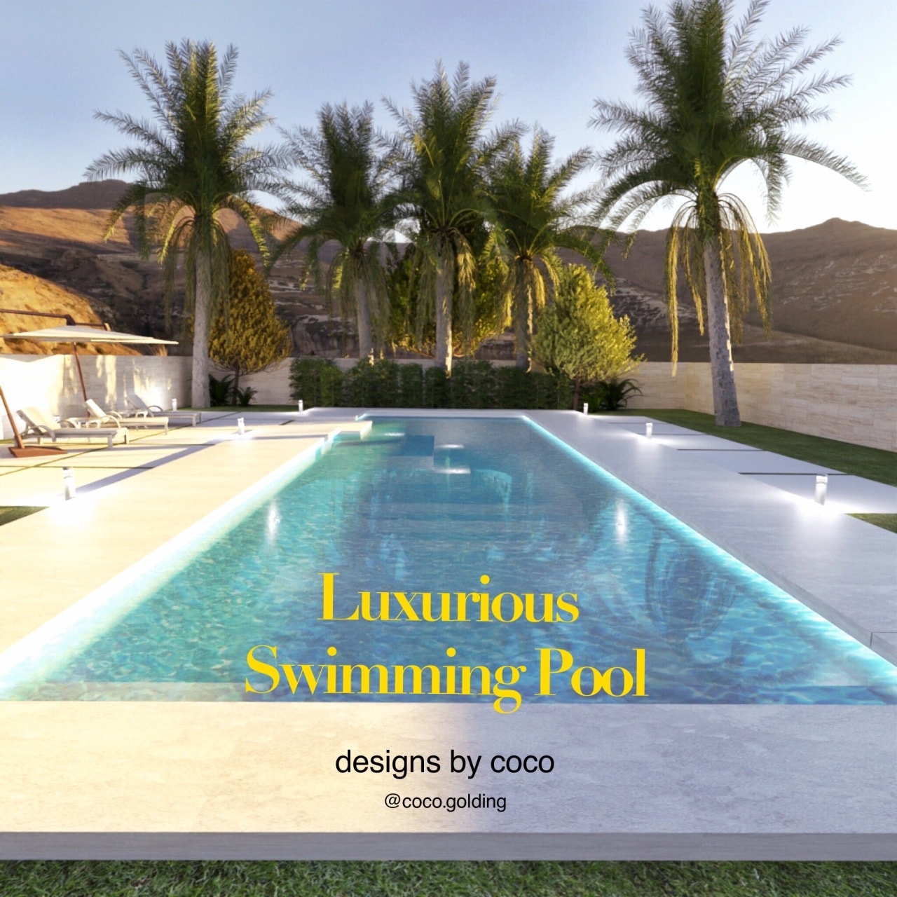 Luxurious Swimming Pool