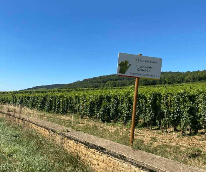 Bourgogne vin
