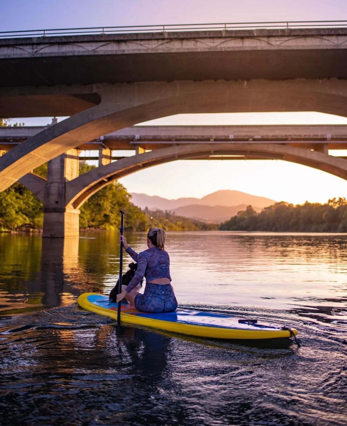 woman paddling a stand up paddle board with a dog