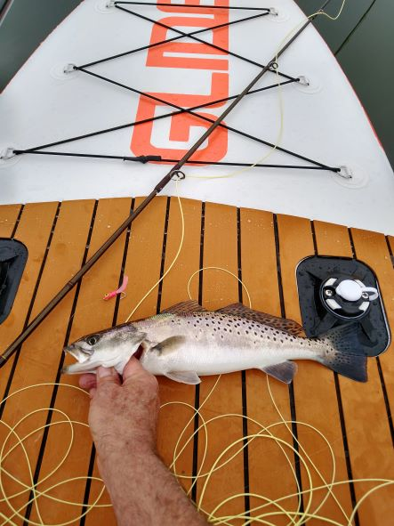 fish on an Inflatable paddle board