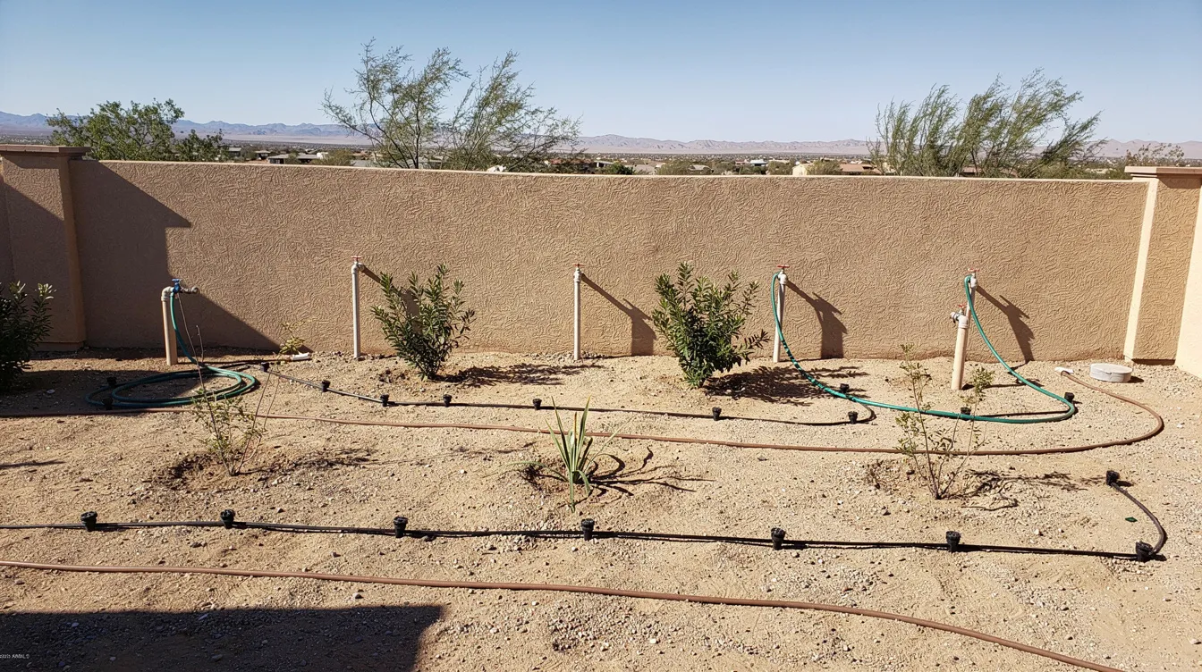 The image depicts a residential backyard in the desert, featuring visible outdoor plumbing hose bibs and irrigation lines that are essential for maintaining a smoothly functioning plumbing system. This setting highlights the importance of specialized residential plumbing services for effective irrigation and maintenance in arid climates.