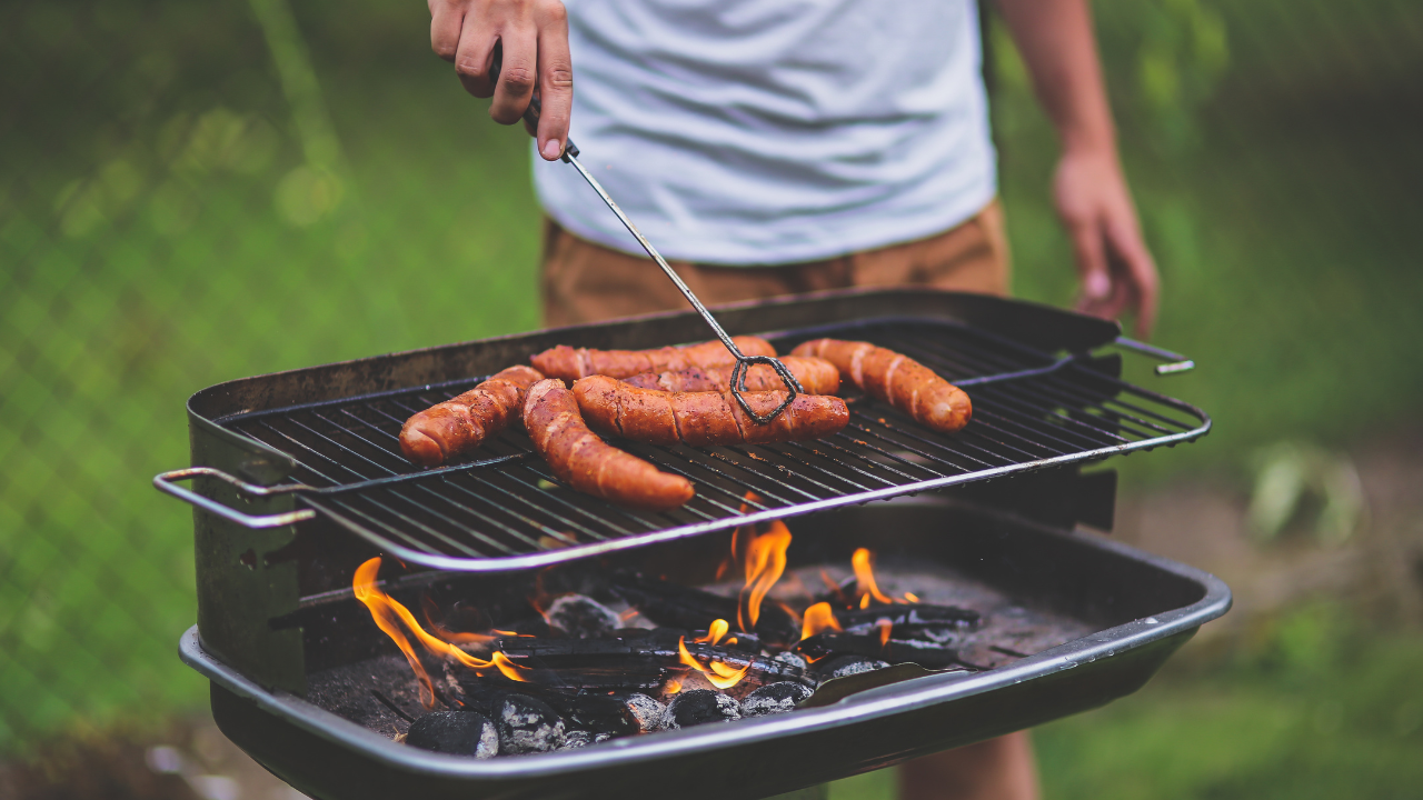 Grilling Hotdog, Fish, and Chicken