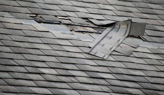 Top Signs Your Roof Needs Repair