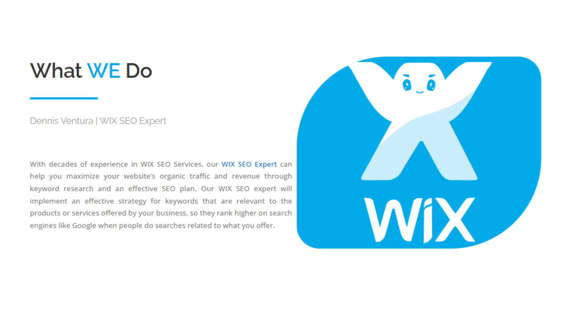wix seo expert