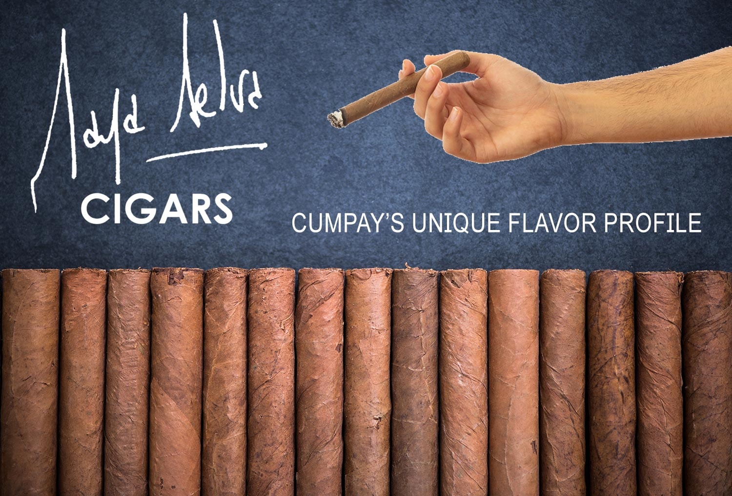 Creative illustration of unique flavor profiles and Cumpay cigars