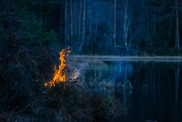 fireplace, campfire, flame