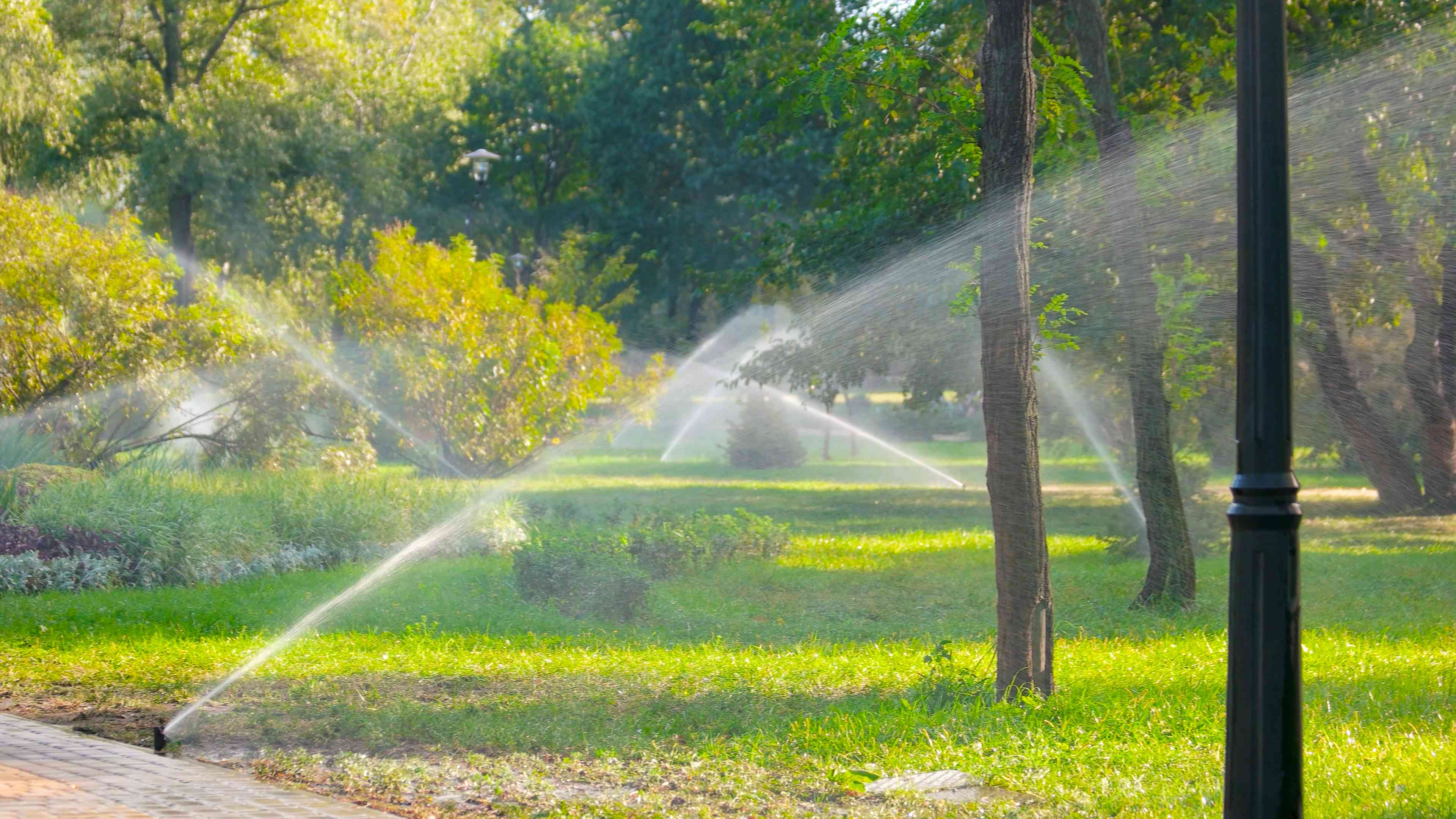 sprinkler system