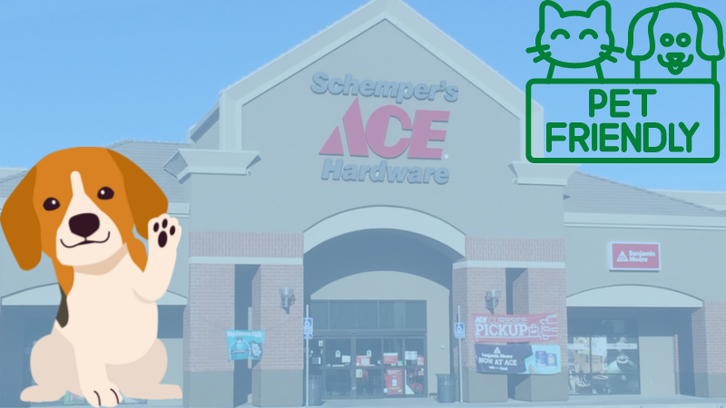 Image of a cartoon dog in front of an Ace Hardware. Graphic in the top right says "Pet Friendly" and features two more graphic dogs and cats. 