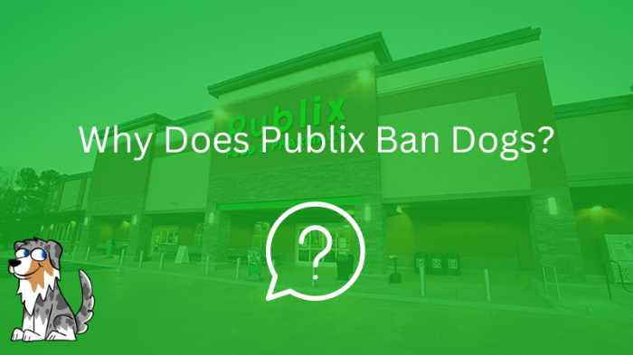 Image Text: "Why Does Publix Ban Dogs?"