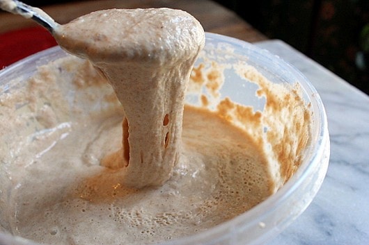 Sourdough Bread: Understanding Sourdough Starters