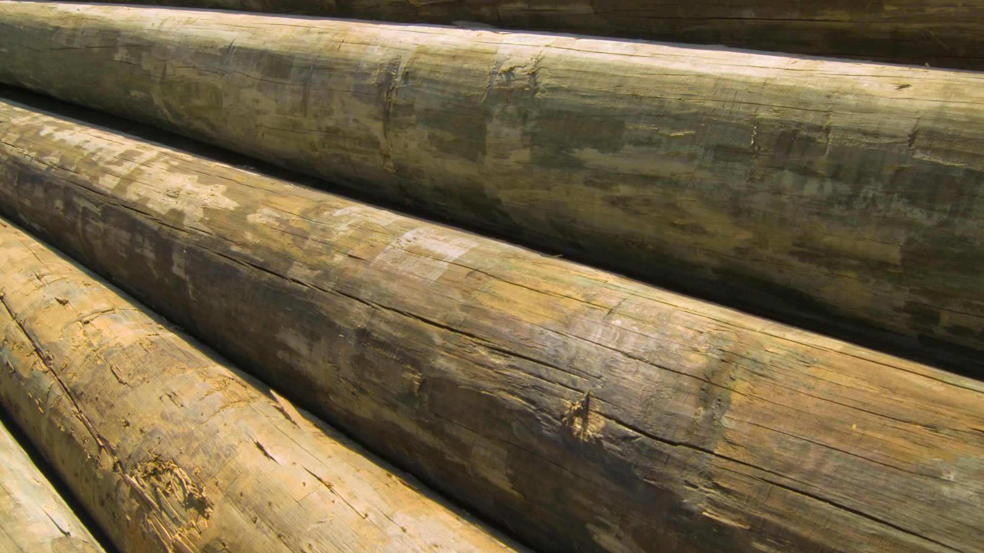A stack of used telephone poles.