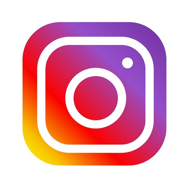 Image showing the Instagram icon