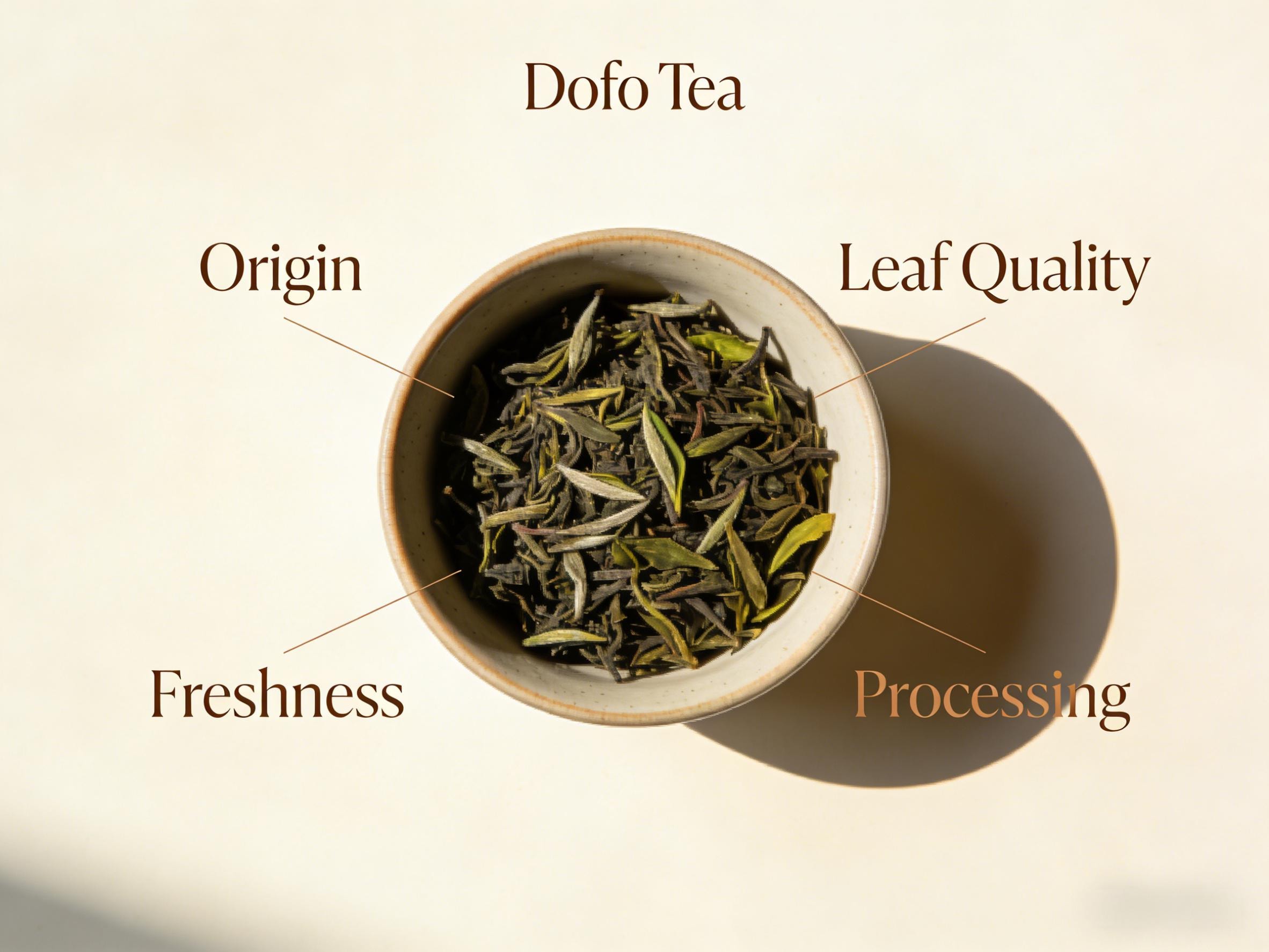 Loose Leaf vs Tea Bags