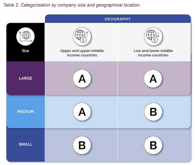 Categorization by company size and geographical location