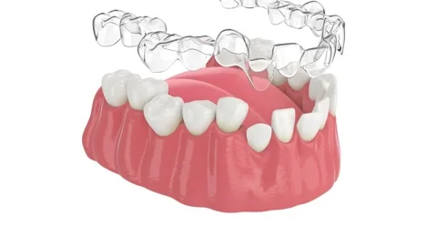 teeth,