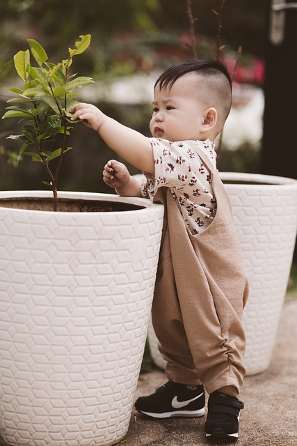 boy, garden, playing